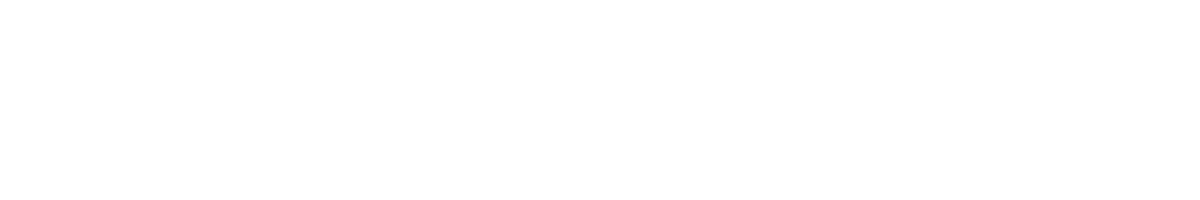 Wortmarke LIBERYX einfarbig weiss